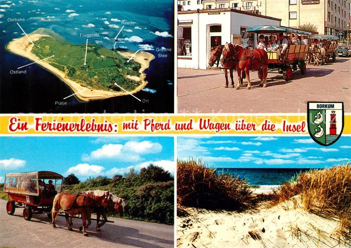 Borkum mit Pferd und Wagen ueber die Insel Duenen Fliegeraufnahme