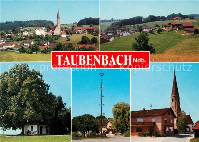 Taubenbach Niederbayern Teilansichten mit Kirche Maibaum Kapelle Alter Baum
