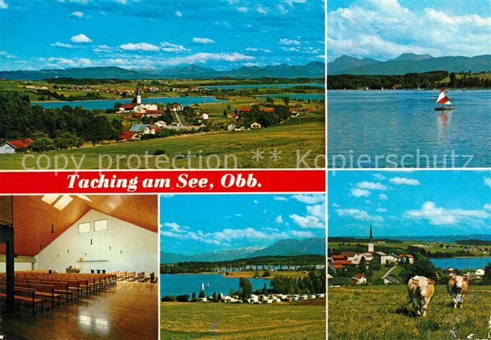 Taching See Panorama Alpen Pfarrkirche Campingplatz Viehweide Kuehe