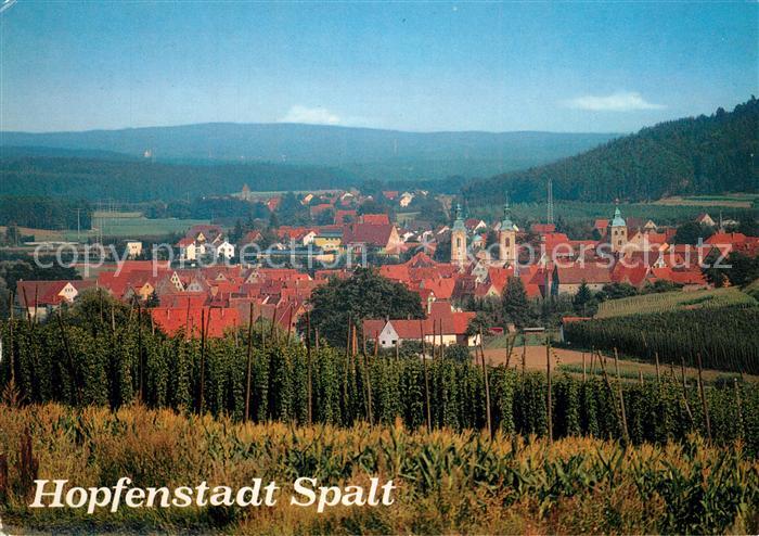 Spalt Panorama Hopfenanbau