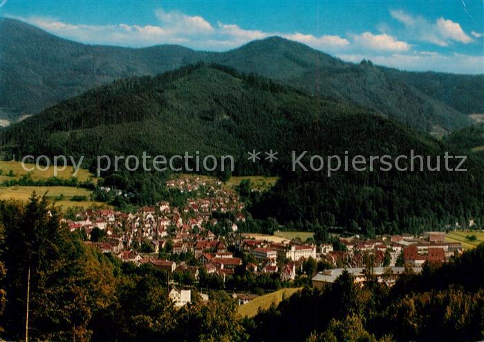 Waldkirch Breisgau Panorama Blick von der Kastelburg Schwarzwald