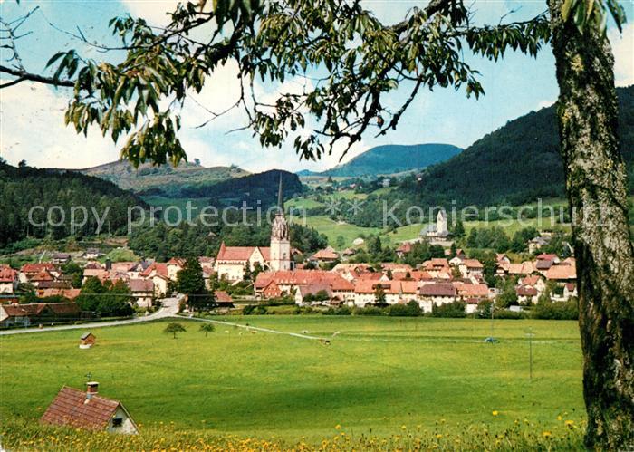 Schoenau Schwarzwald Panorama Luftkurort mit Belchen