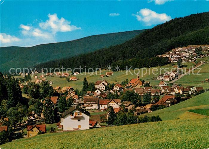 Obertal Baiersbronn Panorama Luftkurort im Schwarzwald