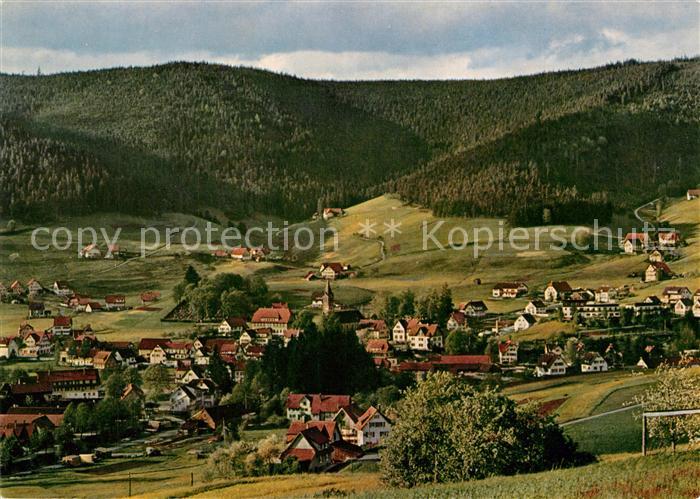 Mitteltal Schwarzwald Panorama Luftkurort