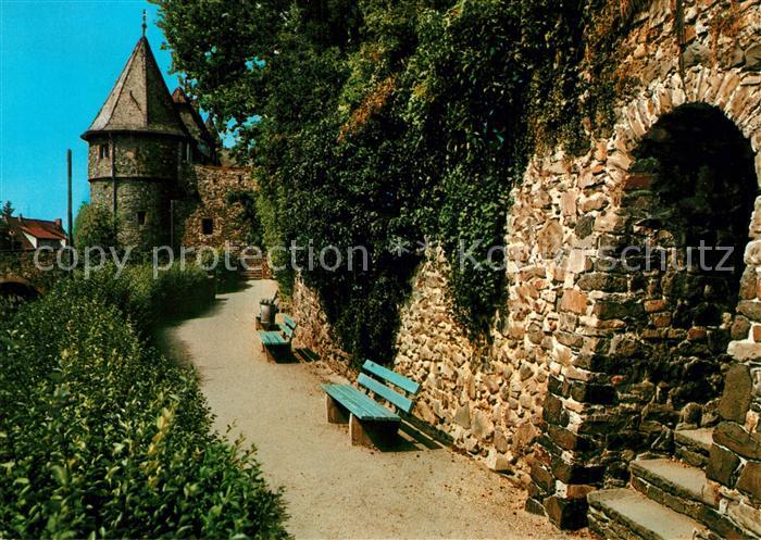 Friedberg Hessen Partie am suedlichen Burggraben