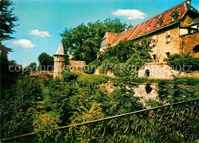Friedberg Hessen Burg Suedseite mit Hirschgraben