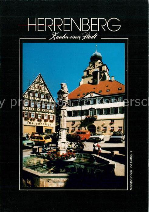 Herrenberg Wuerttemberg Marktbrunnen Rathaus