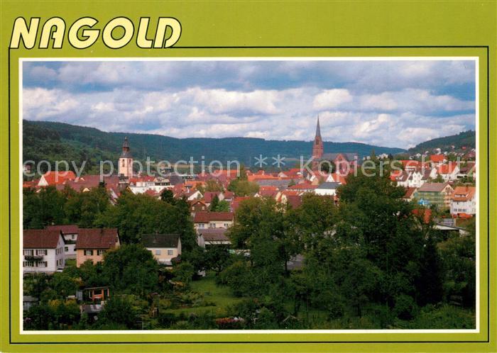Nagold Stadtansicht