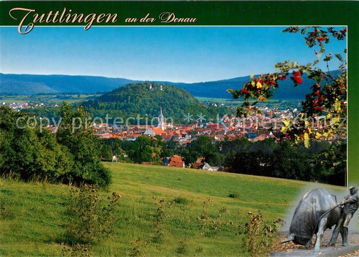 Tuttlingen Panorama Burg