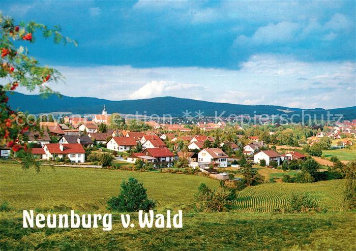 Neunburg Wald Panorama