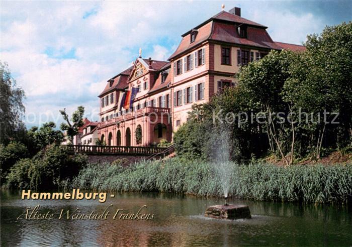 Hammelburg Kellereischloss
