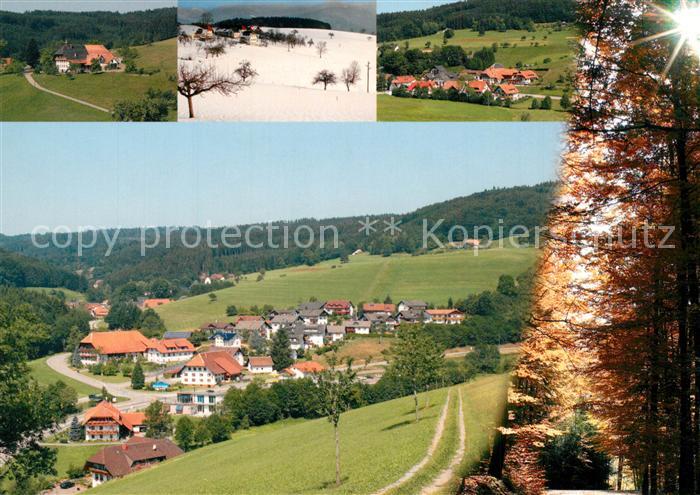 Biederbach Schwarzwald Teilansichten Panorama
