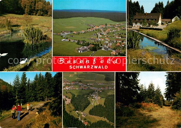 Besenfeld Schwanenteich Panorama Fliegeraufnahme Waldpartien