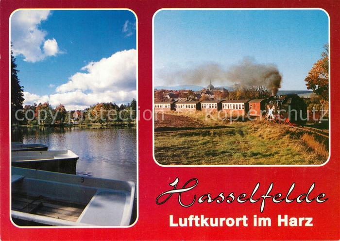 Hasselfelde Dampfeisenbahn Panorama