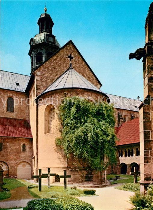 Hildesheim Domchor 1000-jaehriger Rosenstock