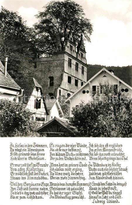 Hirsau Ulmenbaum Klosterruine
