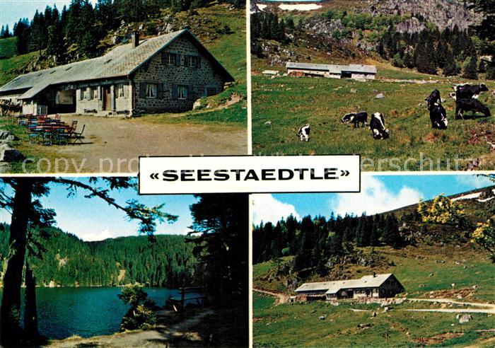 Soultzeren Auberge d été Seestaedtle See Vogesen