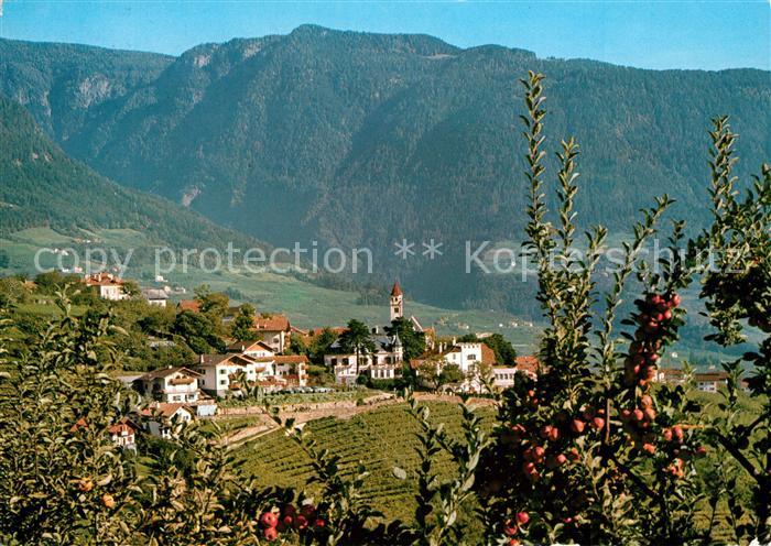 Dorf Tirol Panorama