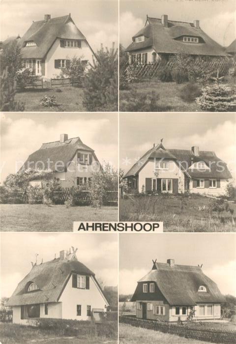 Ahrenshoop Ostseebad Rohrdachhaeuser am Weg zum Hohen Ufer