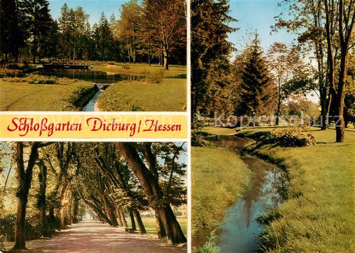 Dieburg Schlossgarten Baumalle Partie am Bach