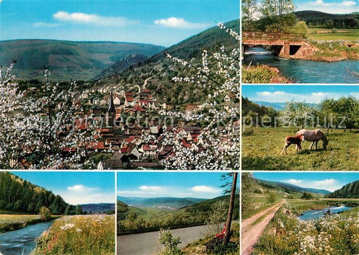 Schneeberg Unterfranken Panorama Baumbluete Partie am Fluss Landschaft Natur Pfe