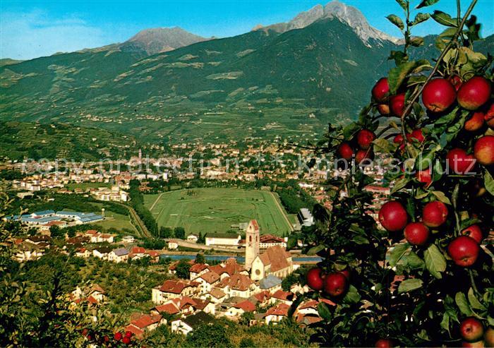 Marling Panorama Obstbaum