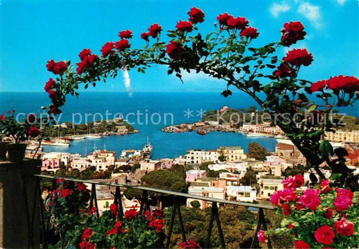Porto d Ischia Duchblick zum Hafen Blumenranken