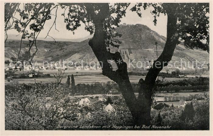 Heppingen Ahr Burgruine Landskron