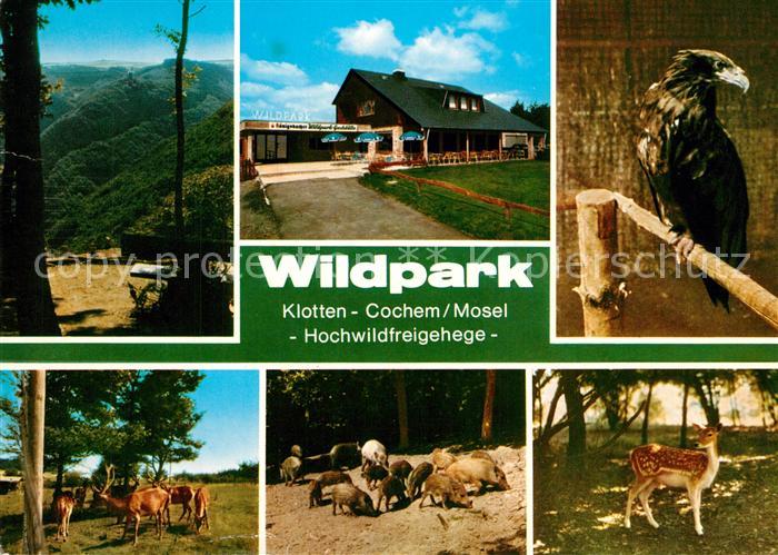 Cochem Mosel Wildpark Klotten Hochwildfreigehege
