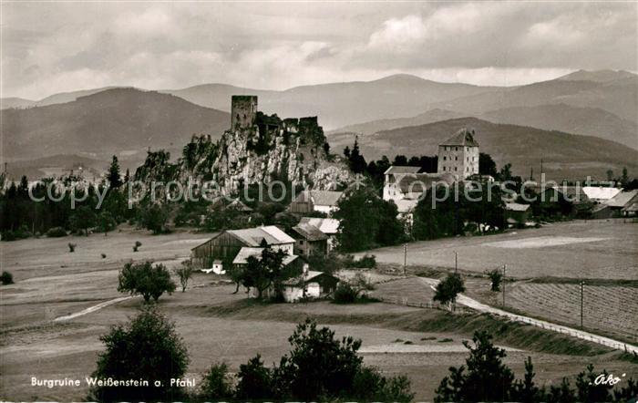 Waldershof Burgruine Weissenstein Pfahl
