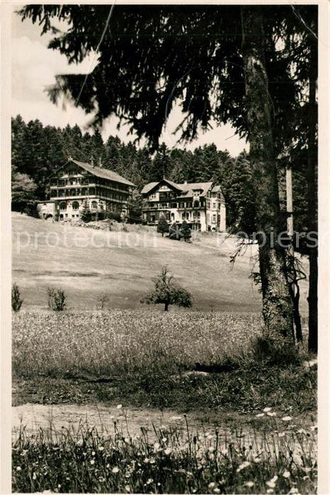 Freudenstadt Waldhotel Cafe Stolinger