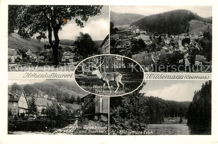 Wildemann Spiegeltaler-Teich Grummbach und Innerste Hirsch