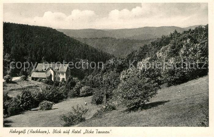 Hohegeiss Harz Hotel Dicke Tanne