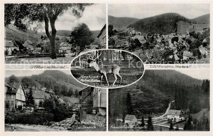 Wildemann Fliegeraufnahme Fremdenheim im Spiegeltal Hirsch Grumbach Innerste