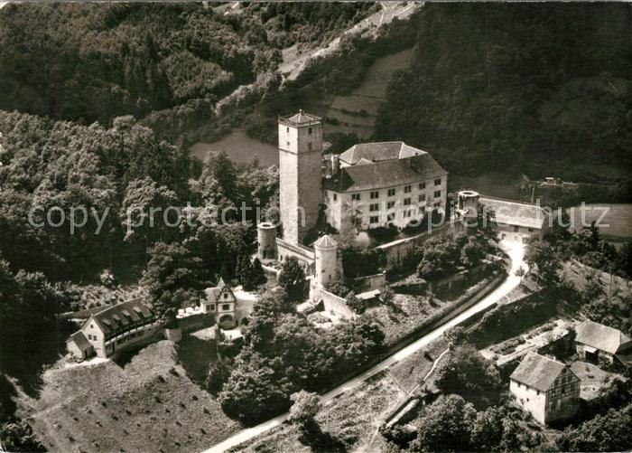 Neckartal Fliegeraufnahme Burg Guttenberg