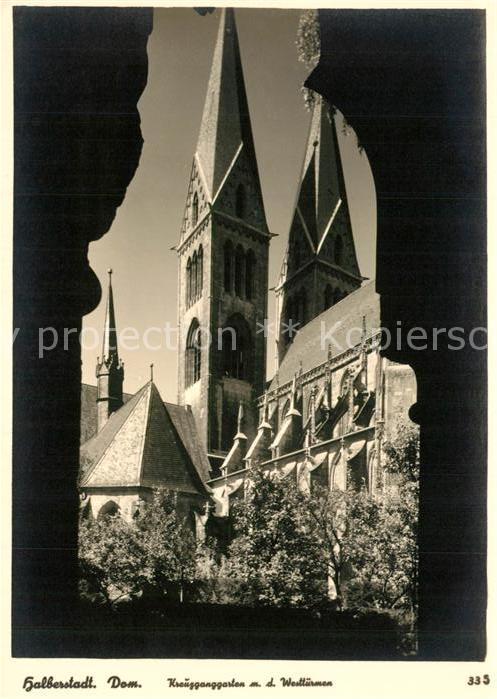 Halberstadt Dom Kreuzganggarten