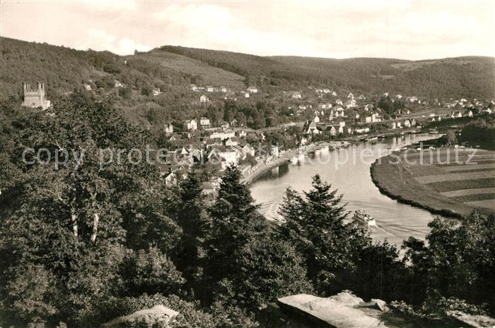 Neckarsteinach Neckarpartie