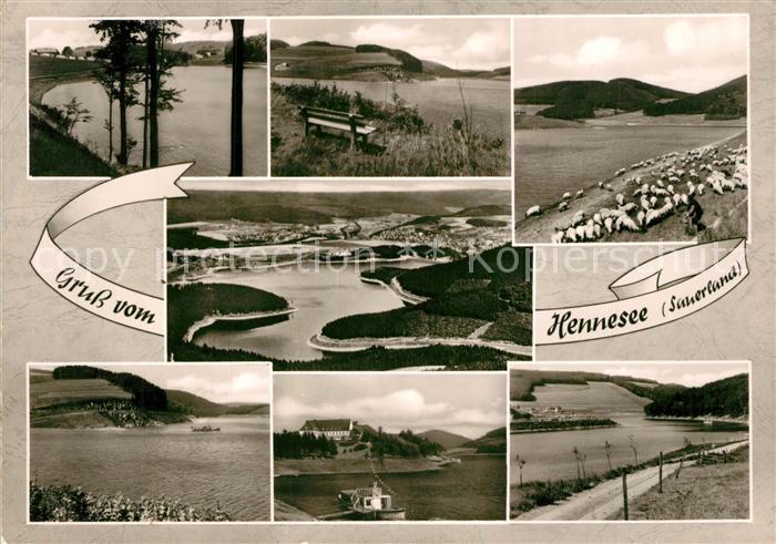 Hennesee Meschede Fliegeraufnahme Schafherde Seepartien