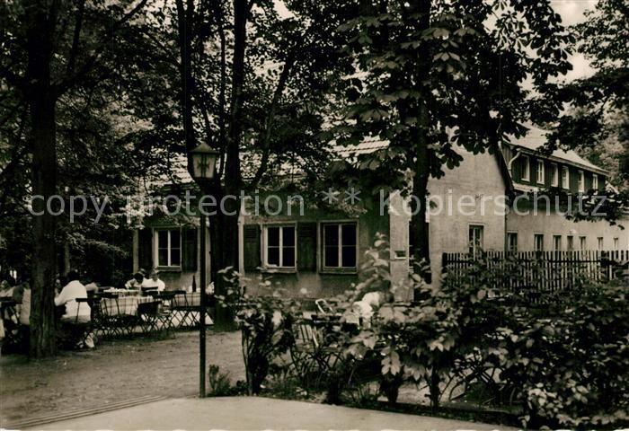 Berggiesshuebel Bergbaude Panoramahoehe mitten im Bergwald