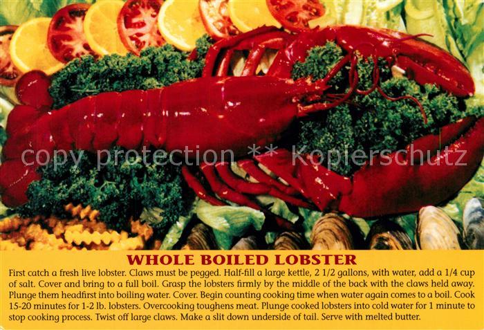 Meerestiere Boiled Lobster Hummer
