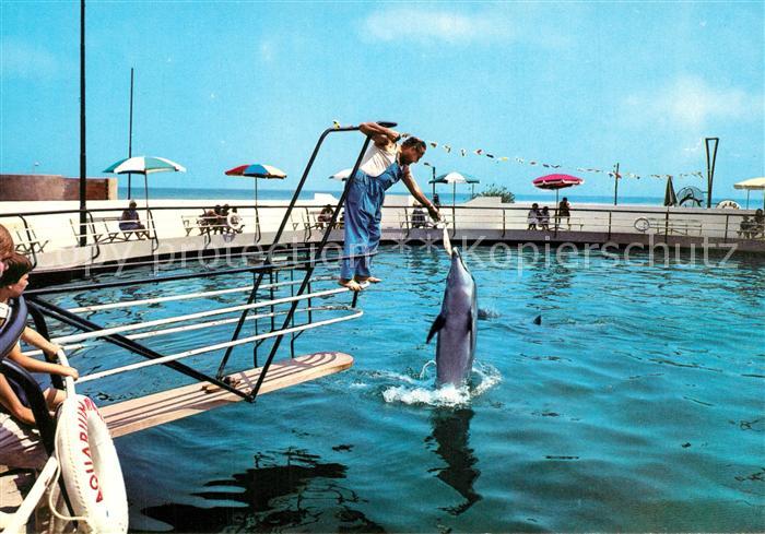 Delfine Delphine Dolphins Dauphins Delfines Riccione Lungomare Aquarium