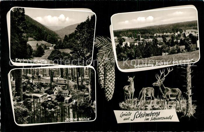 Schoemberg Schwarzwald Kapfenhardter Tal Buehler Muehle