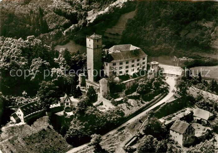 Neckarmuehlbach Fliegeraufnahme Burg Guttenberg