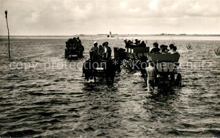 Neuwerk Cuxhaven Nordseebad Wattwagen Priel