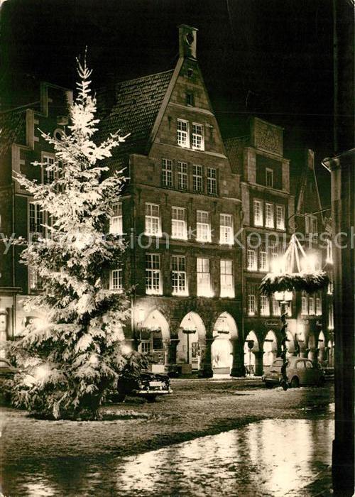 Muenster Westfalen Weihnachtsbaum Drubbel