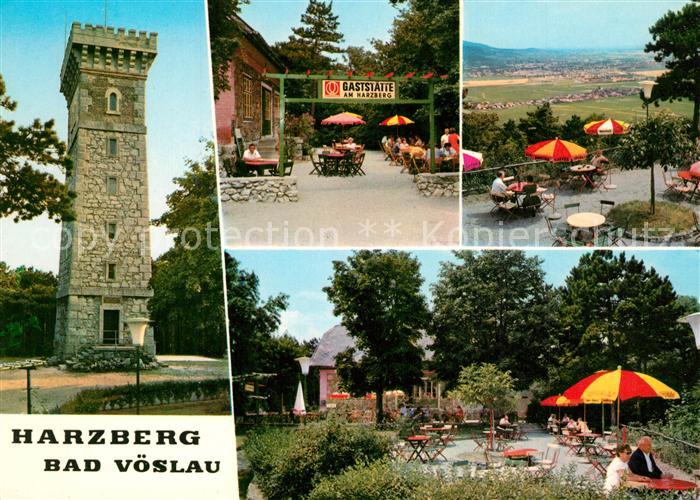 Bad Voeslau Aussichtsturm Gaststaette Terrasse