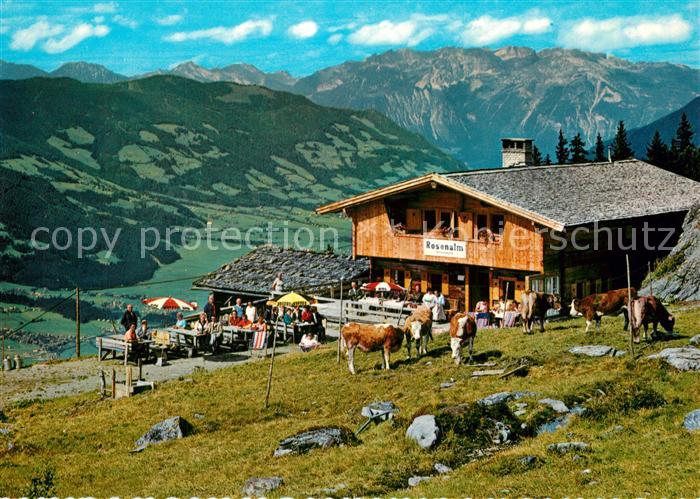 Zell Ziller Tirol Jausenstation Rosenalm Kuehe