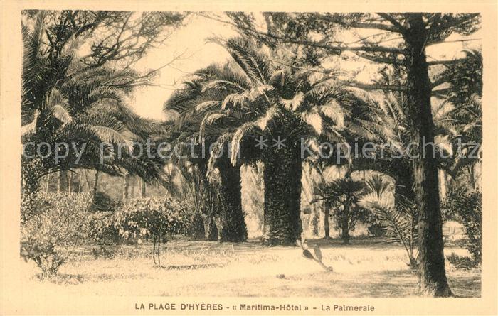 Hyeres les Palmiers Maritima Hotel