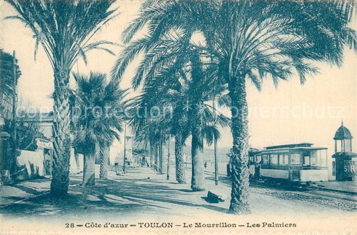 Toulon Var Le Mourrillon Les Palmiers