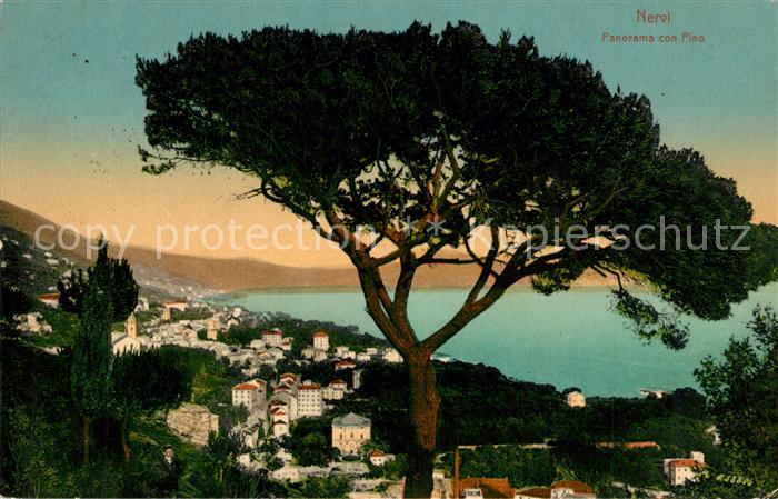 Nervi Panorama Pinie